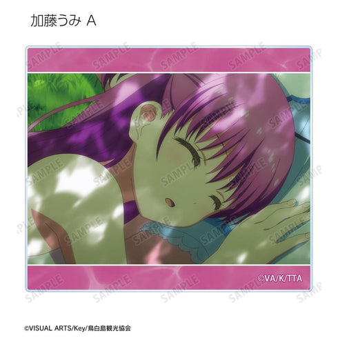 《Summer Pockets》角色场景亚克力卡(单位/盒)