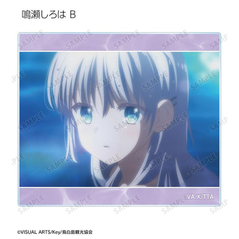 《Summer Pockets》角色场景亚克力卡(单位/盒)