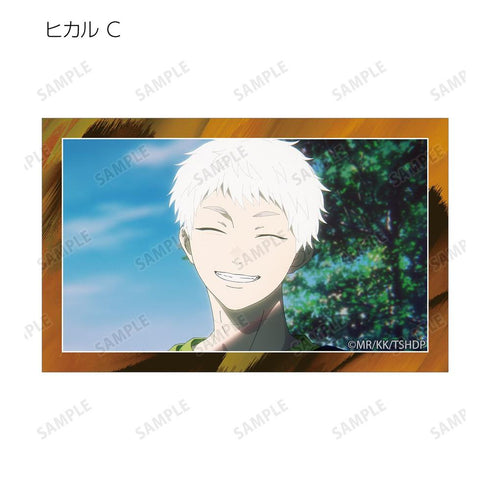 《光之死去的夏天》交易卡场景插画卡 vol.2(单位/盒)