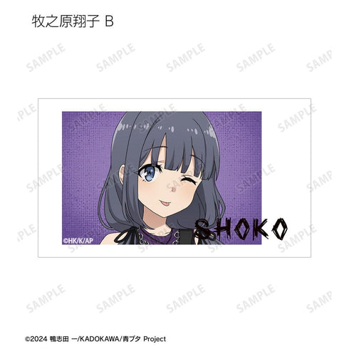 《青春豬頭系列》全新繪製 吉他演奏版 Ani-Frame 收藏卡 (單位/盒)
