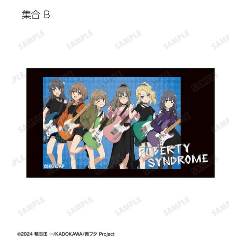 《青春豬頭系列》全新繪製 吉他演奏版 Ani-Frame 收藏卡 (單位/盒)