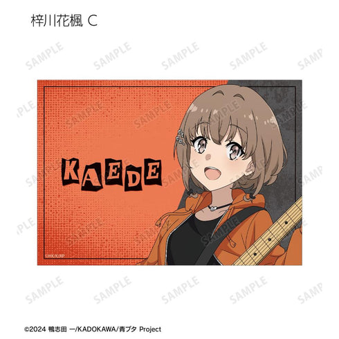 《青春豬頭系列》全新繪製 吉他演奏版 收藏卡 (單位/盒)