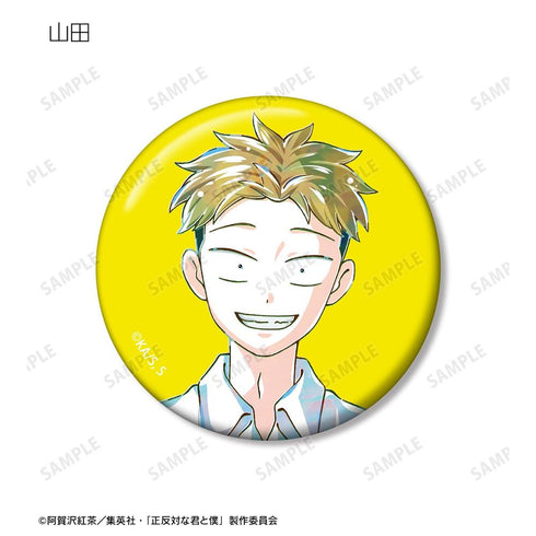 你和我的对立面 "交易徽章(单位/盒)