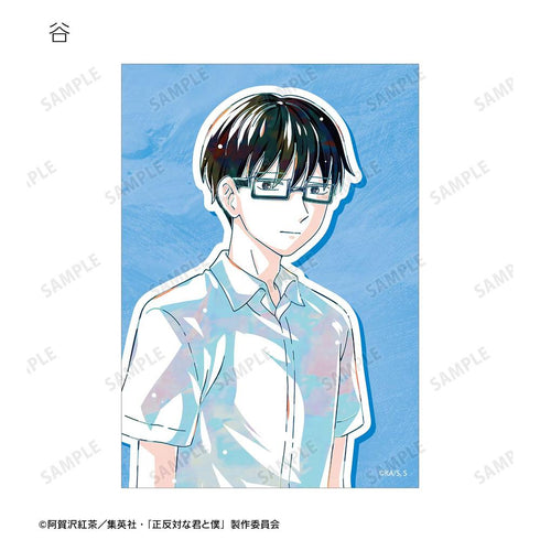 Trading Ani-Art Bromide (unit/box)