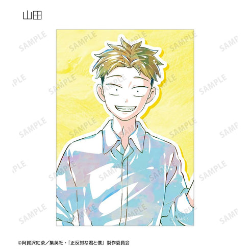 Trading Ani-Art Bromide (unit/box)