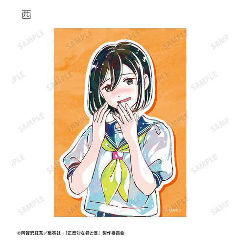 Trading Ani-Art Bromide (unit/box)