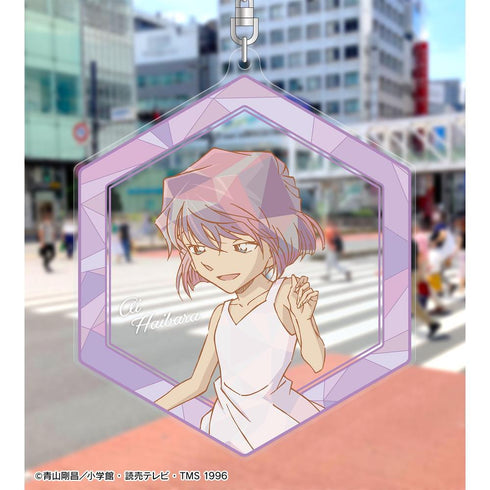 『名探偵コナン』灰原哀 プリズムパターン 第4弾 BIGアクリルキーホルダー
