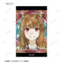 《狼与香辛料 MERCHANT MEETS THE WISE WOLF》收藏卡 Aure Glass 迷你透明卡(单位/盒)