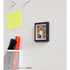 "Spice and Wolf: Merchant Meets the Wise Wolf" Trading Aure Glass Frame Magnet (Sold by the box)