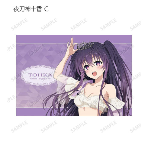 『デート・ア・ライブV』描き下ろし プリンセス玉座ver. トレーディングブロマイド(単位/BOX)