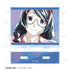 "Monogatari Series" Tsubasa Hanekawa Ani-Art BIG Acrylic Stand
