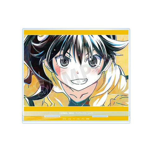 "Monogatari Series" Araragi Kare: Ani-Art BIG Acrylic Stand