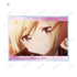 "501st Joint Fighter Wing: Strike Witches ROAD to BERLIN" Trading Acrylic Cards (Sold by the box)