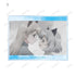 "501st Joint Fighter Wing: Strike Witches ROAD to BERLIN" Trading Acrylic Cards (Sold by the box)