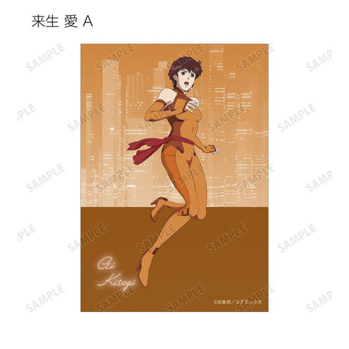 『キャッツ♥アイ』トレーディングブロマイド(単位/BOX)