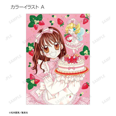 "Yumeiro Patissière" Trading Bromides (Sold by the box)