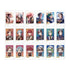 "Stellarium of the Unmoving Star" Trading Instant Camera-Style Illustration Cards Vol. 4 Ver. A (Unit/Box)