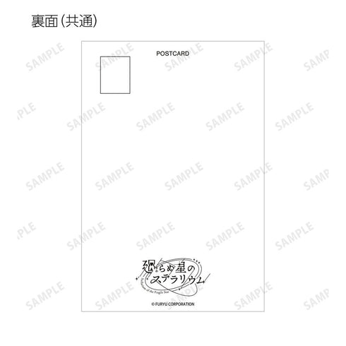 "Stellarium of the Unmoving Star" Trading Postcards Vol. 3 Ver. B (Unit/Box)