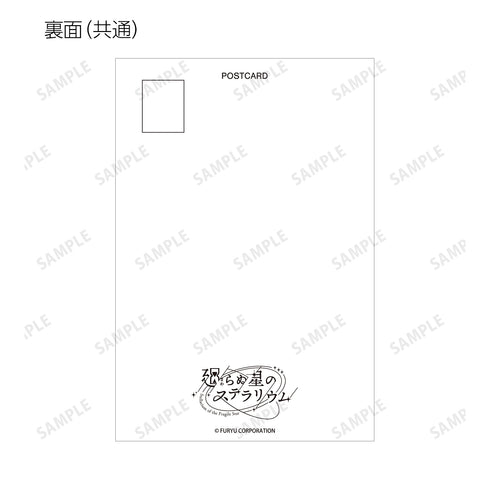 《不转动的星辰:Stellarium》交易明信片 vol.3 ver.B(单位/盒)