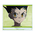 『HUNTER×HUNTER』ゴン Ani-Art 第4弾 BIGアクリルスタンド