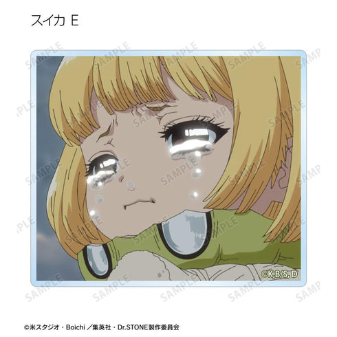 《Dr.STONE》收藏卡 第4期第23話 場景圖亞克力卡(單位/盒)