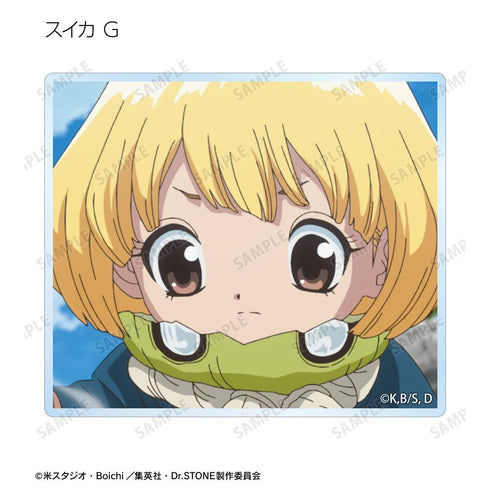 《Dr.STONE》收藏卡 第4期第23話 場景圖亞克力卡(單位/盒)
