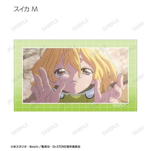 《Dr.STONE》收藏卡 第4期第23話 場景插畫卡(單位/盒)