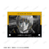 《進擊的巨人》阿爾敏 Ani-Art BLACK LABEL 第3彈 A6壓克力板