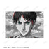"Attack on Titan" Eren Ani-Art BLACK LABEL Vol. 3: Set of 2 Bromides