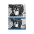 "Attack on Titan" Mikasa Ani-Art BLACK LABEL Vol. 3: Set of 2 Bromides