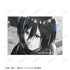 "Attack on Titan" Mikasa Ani-Art BLACK LABEL Vol. 3: Set of 2 Bromides