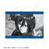 "Attack on Titan" Mikasa Ani-Art BLACK LABEL Vol. 3: Set of 2 Bromides