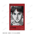 "Attack on Titan" Eren Ani-Art BLACK LABEL Vol. 3: 2-Piece Ani-Frame Set
