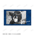 "Attack on Titan" Mikasa Ani-Art BLACK LABEL Vol. 3: 2-Piece Ani-Frame Set