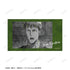 "Attack on Titan" Jean Ani-Art BLACK LABEL Vol. 3: 2-Piece Ani-Frame Set