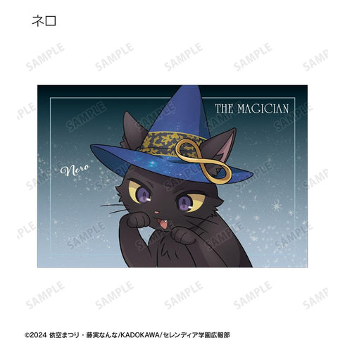 『サイレント・ウィッチ 沈黙の魔女の隠しごと』描き下ろし タロットver. トレーディングポストカード(単位/BOX)