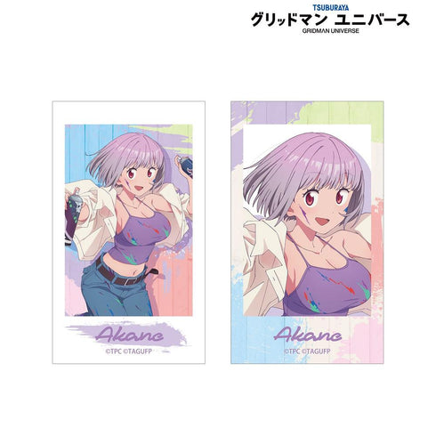 『グリッドマンユニバース』描き下ろし 新条アカネ ペインタースタイルver. Ani-Frame 2枚セット