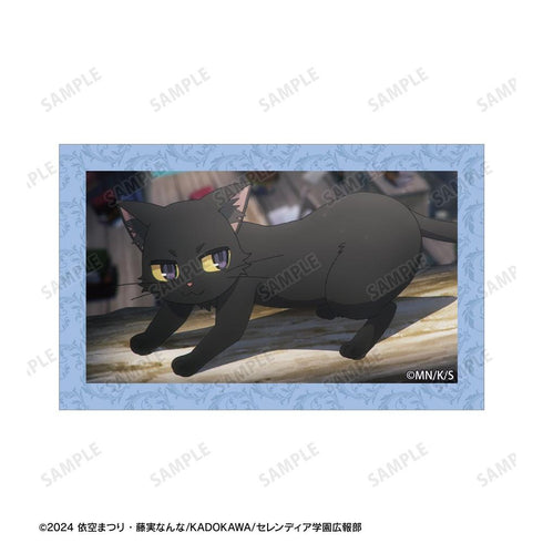"Silent Witch: The Secret of the Silent Witch" Nero B8 Rigid Card Case & Scene Illustration Card Set