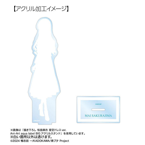 "Seishun Buta Yarou Series" Original Illustration: Shoko Makinohara - Starry Sky Dress Ver. Ani-Art aqua label BIG Acrylic Stand