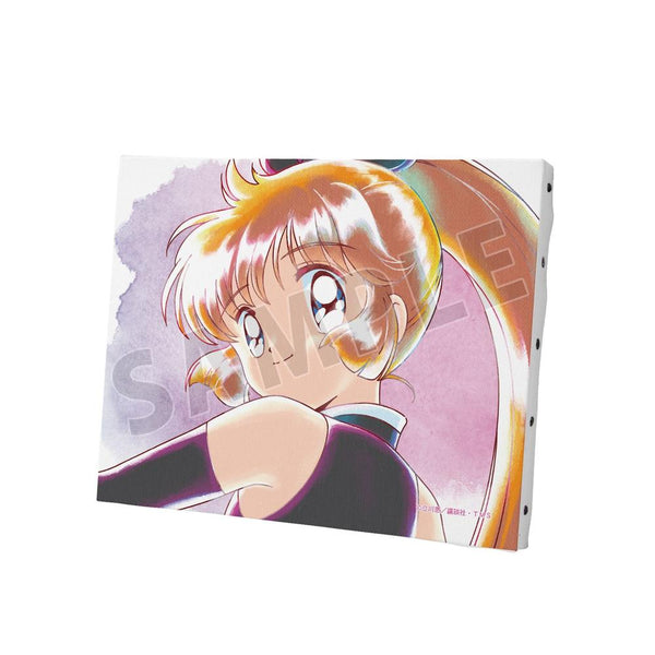 『怪盗セイント・テール』怪盗セイント・テール Ani-Art aqua label F0号キャンバスボード