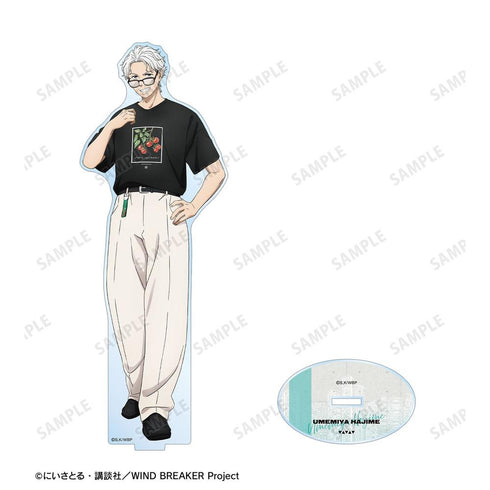 《WIND BREAKER》全新绘制 梅宫一 夏装版 BIG亚克力立牌