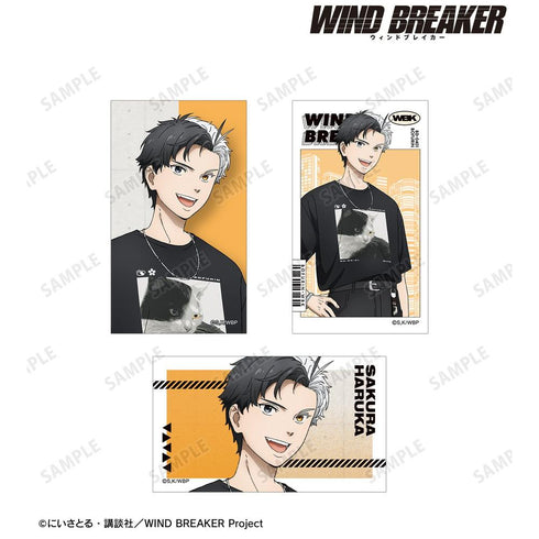《WIND BREAKER》全新绘制 樱遥 夏装版 插画卡3张套装