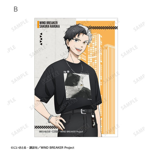 《WIND BREAKER》全新绘制 樱遥 夏装版 写真卡3张套装