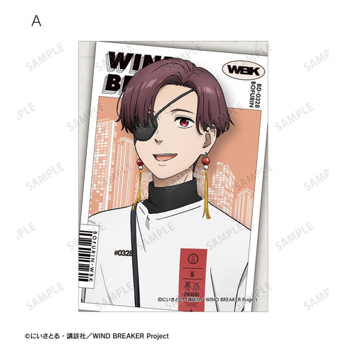 《WIND BREAKER》全新绘制 苏枋·隼飞 夏装版 写真卡3张套装