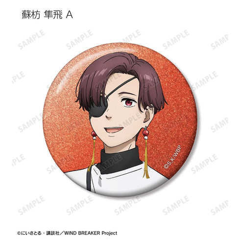 《WIND BREAKER》全新绘制 夏装版 闪粉收藏徽章(单位/盒)