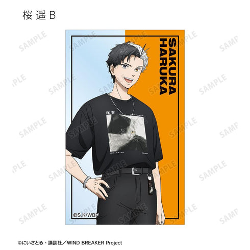 《WIND BREAKER》全新绘制 夏装版 收藏用透明卡片(单位/盒)