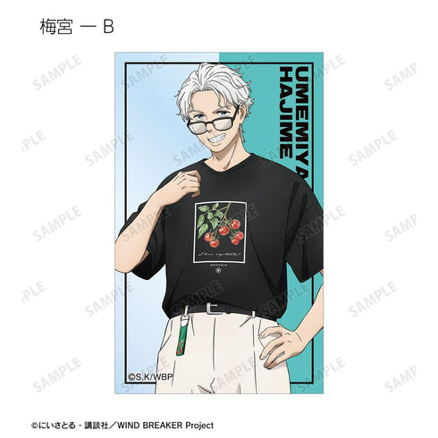 《WIND BREAKER》全新绘制 夏装版 收藏用透明卡片(单位/盒)