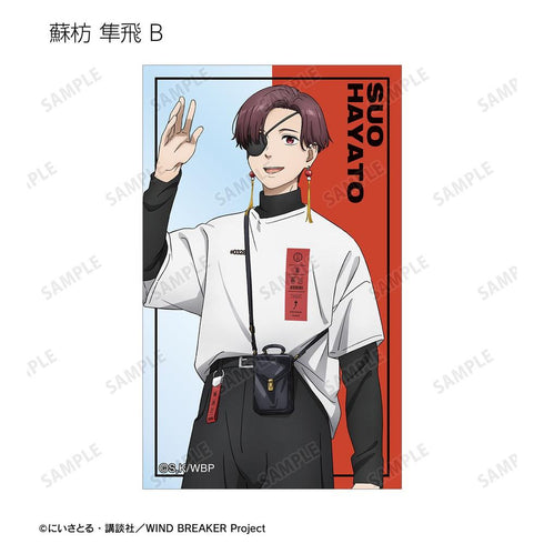 《WIND BREAKER》全新绘制 夏装版 收藏用透明卡片(单位/盒)
