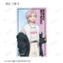 《WIND BREAKER》全新绘制 夏装版 收藏用透明卡片(单位/盒)
