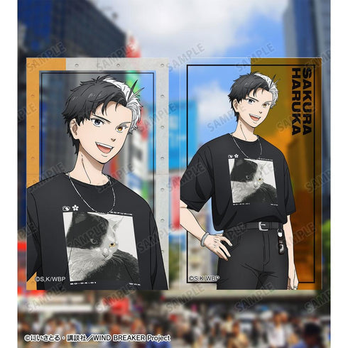 《WIND BREAKER》全新绘制 夏装版 收藏用透明卡片(单位/盒)